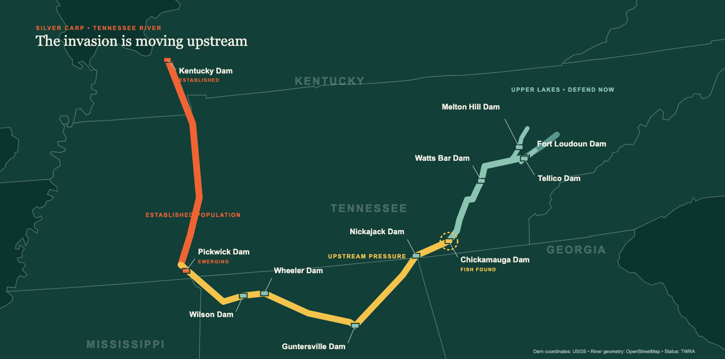Tennessee River system with dams and silver carp invasion status labeled